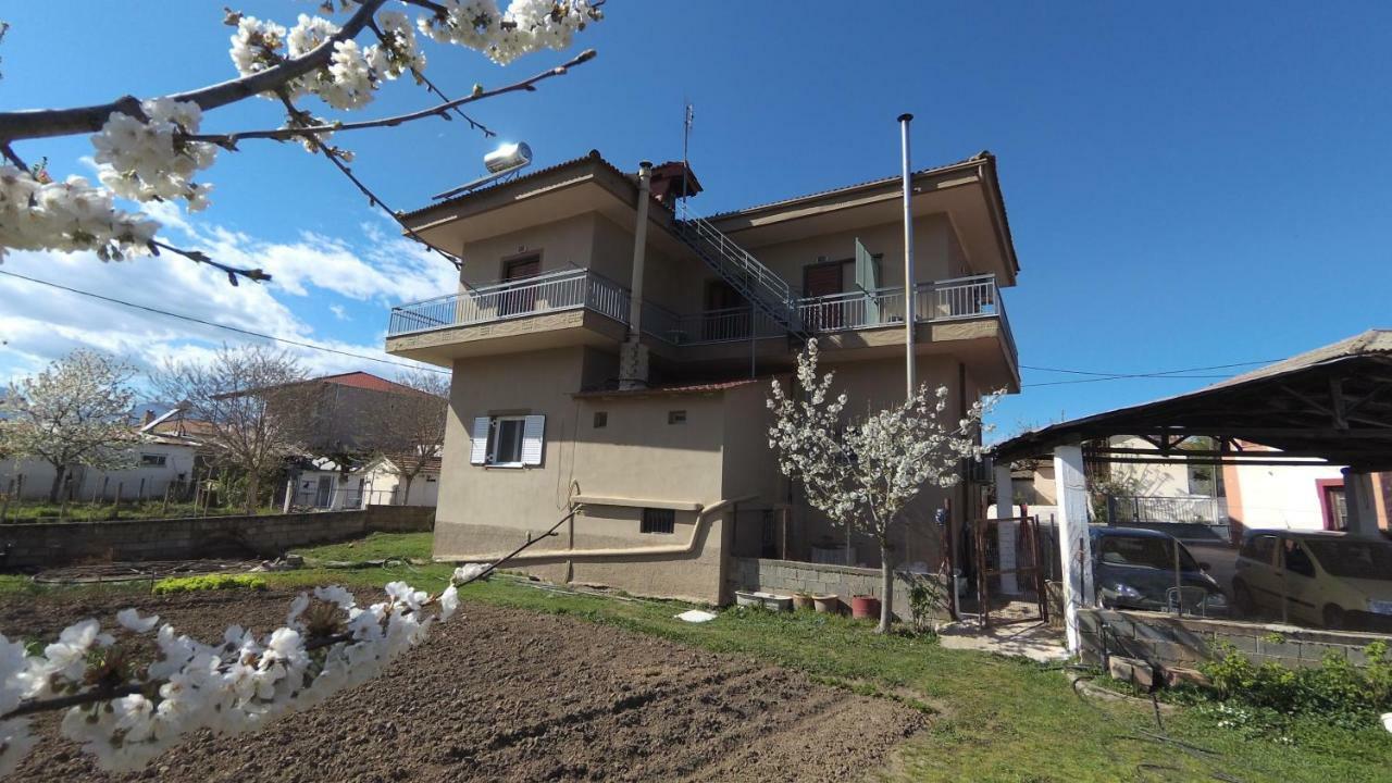Apartment Fofi's Place
